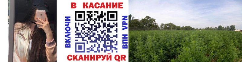 Все наркотики Алзамай Каннабис КОКАИН Альфа ПВП Галлюциногенные грибы ГАШИШ МЕФ