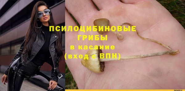 не бодяженный Алзамай