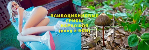 не бодяженный Алзамай