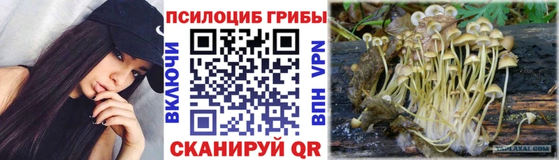 МЕГА ТОР  Алзамай  площадка формула  Псилоцибиновые грибы MAGIC MUSHROOMS 